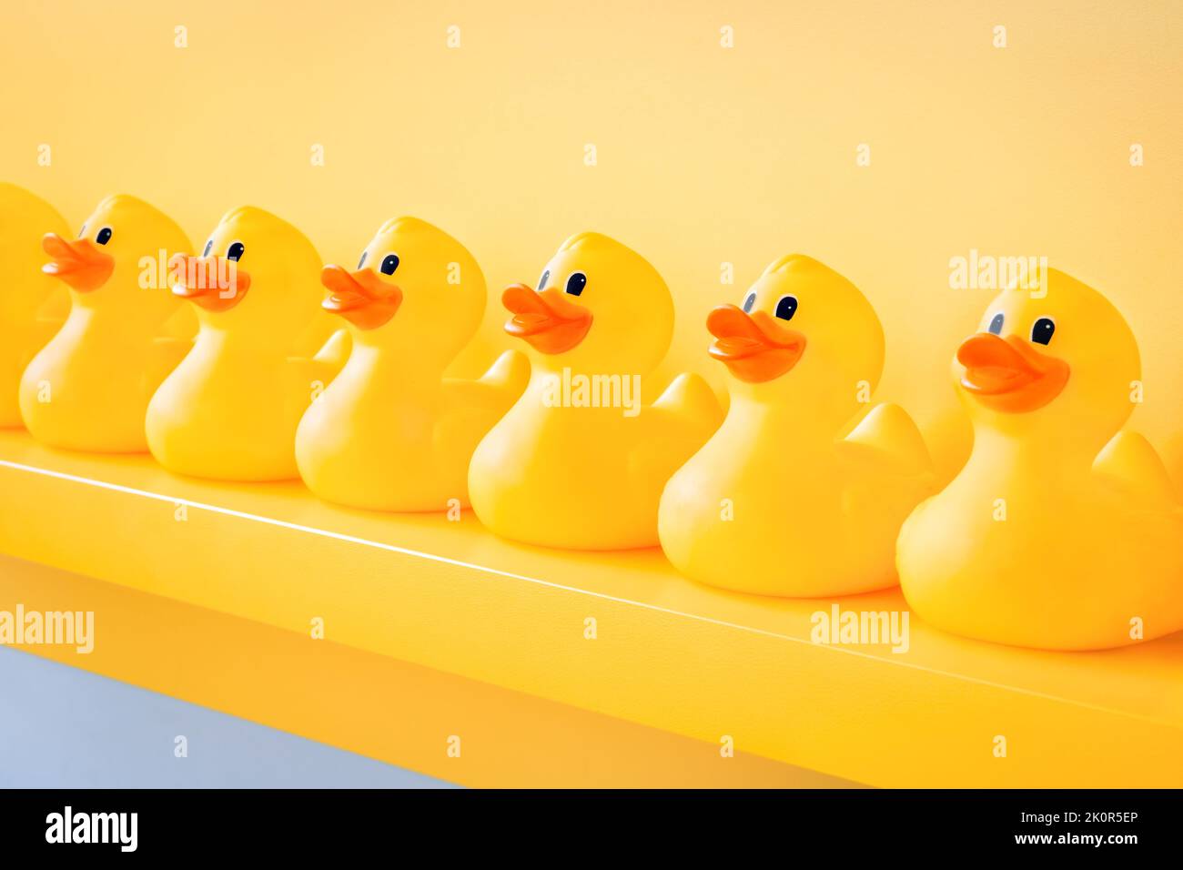 Yellow rubber ducks in a line toy design yellow concept team. Rubber duck background team meeting. Rubber ducky bath toy background yellow ducks in a Stock Photo