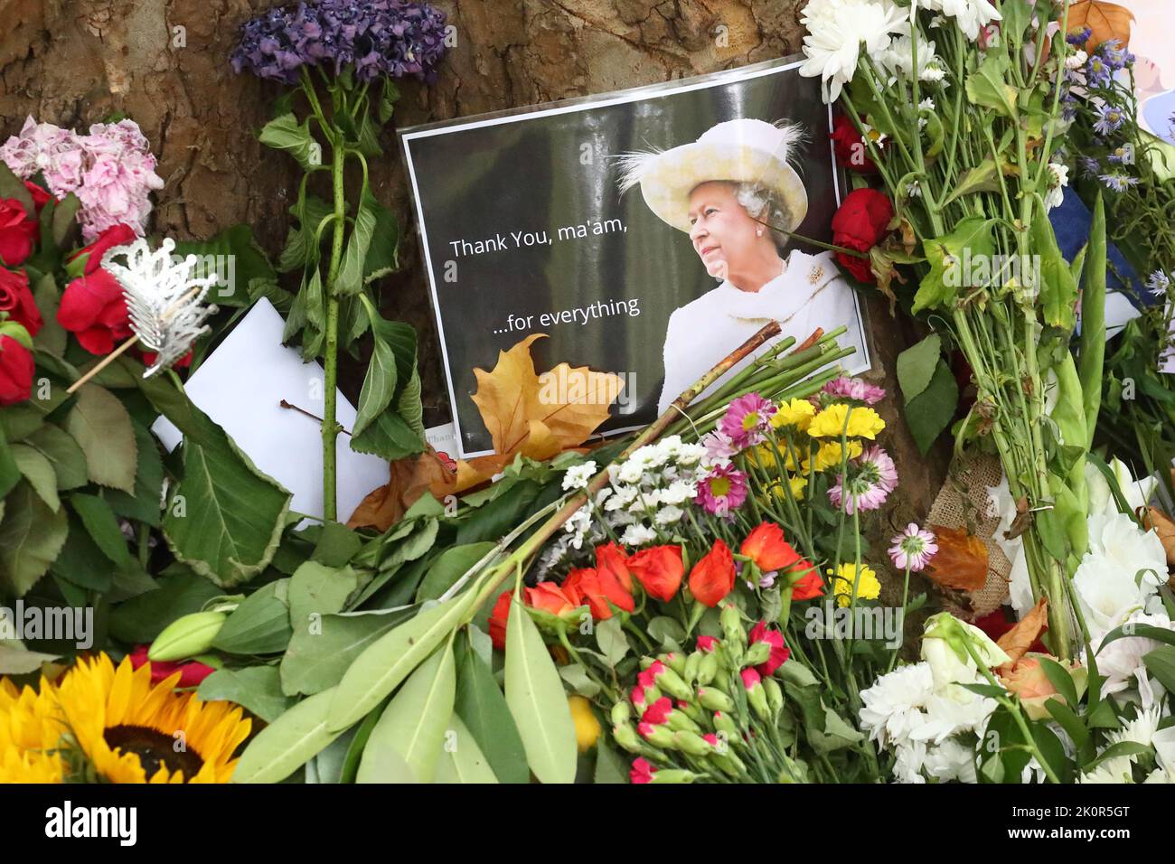 London, UK. 13th Sep, 2022. Thousands of people have left floral tributes, cards and messages for Her Majesty Queen Elizabeth II, who died on September 8th, aged 96. Credit: Uwe Deffner/Alamy Live News Stock Photo