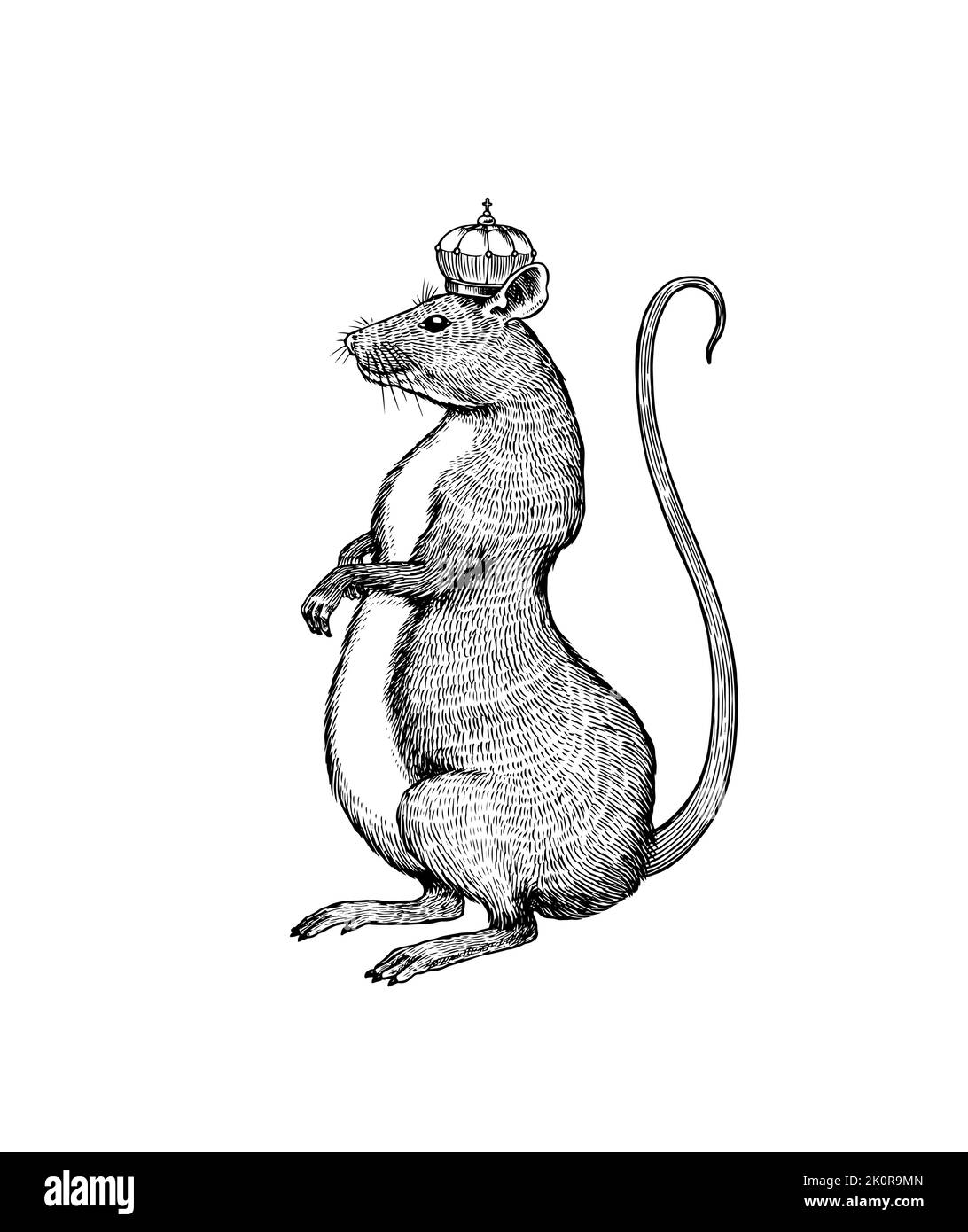 Spiteful And Insidious Old Rat King With A Shabby Tail, Wearing A Gold Crown  And A Chain, Grinning Out Of Its Dark Hole, Vector Cartoon Illustration On  A White Background Royalty Free