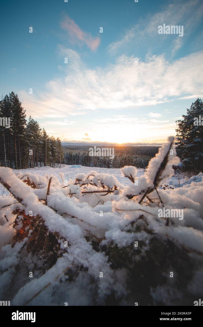 Sunset on Vimpelinvaara hill near Kajaani, Finland. Untouched, snowy ...
