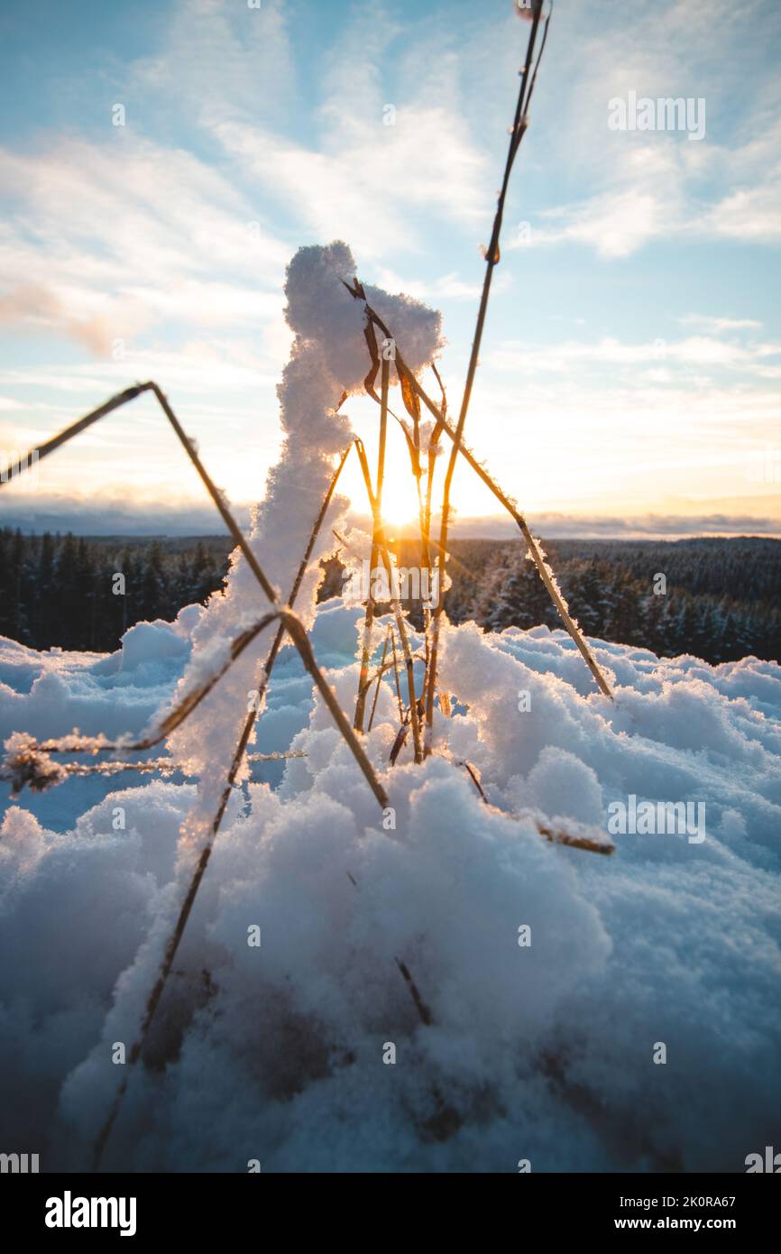 Sunset on Vimpelinvaara hill near Kajaani, Finland. Untouched, snowy ...