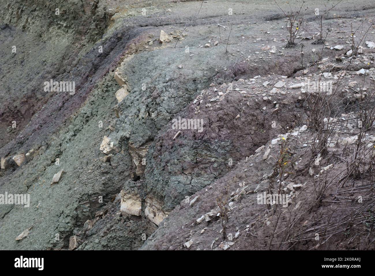 moist Layers of Earth on a Slope Stock Photo