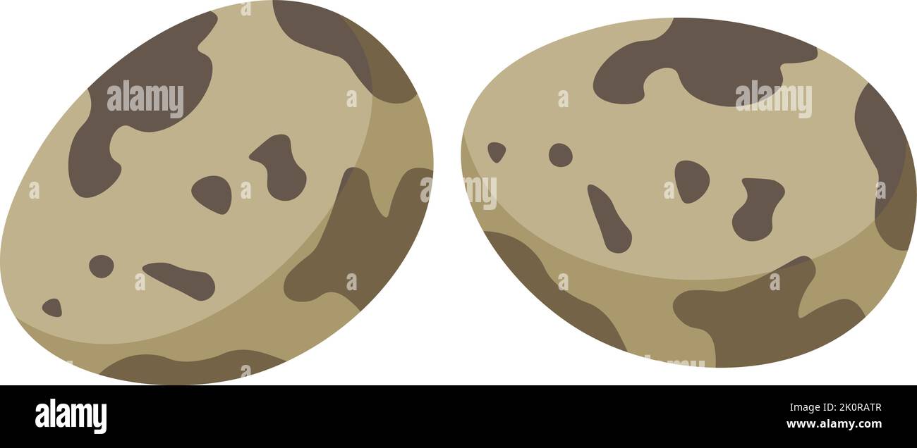 Quail eggs, ingredient for cooking dishes vector Stock Vector Image