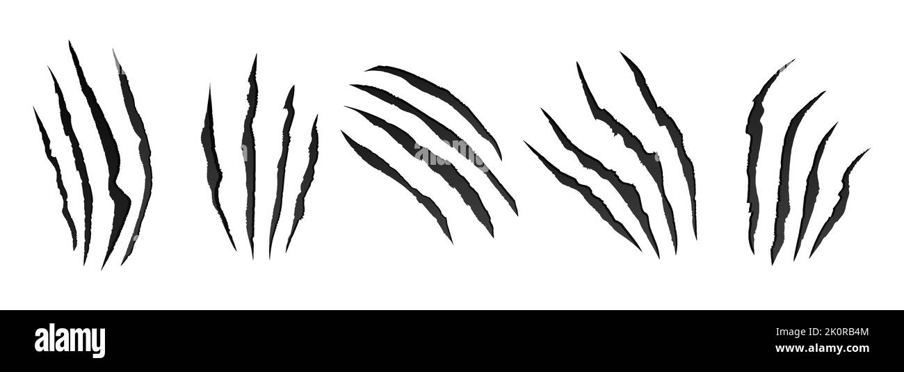 Black claw marks. Terrible scratches on surface left by creepy monster Stock Vector