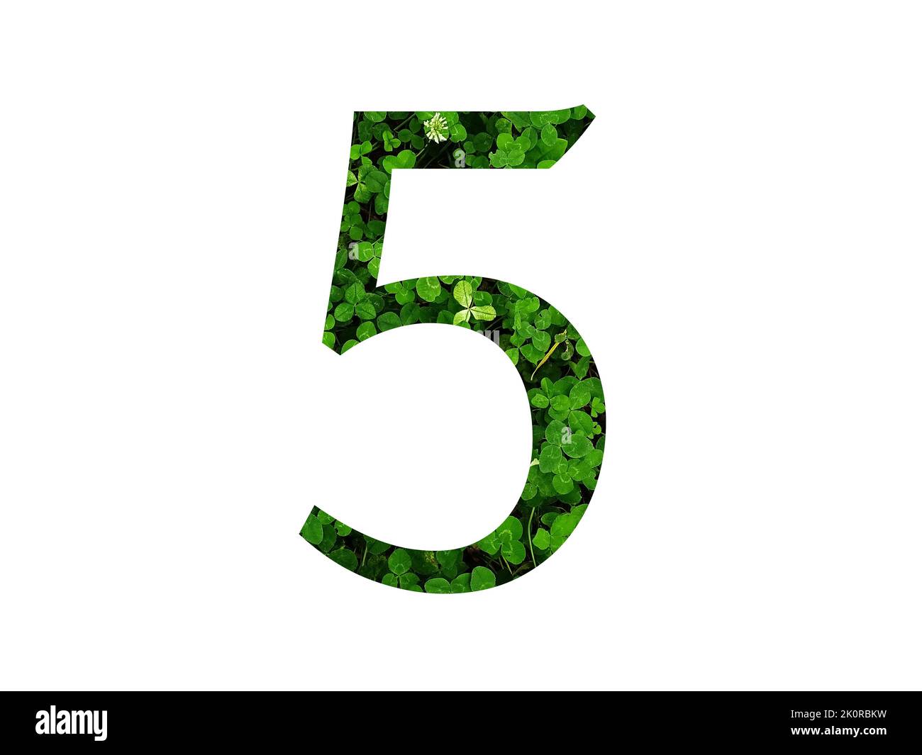 number 5 of the alphabet made with green leaf of a clover field. made ...