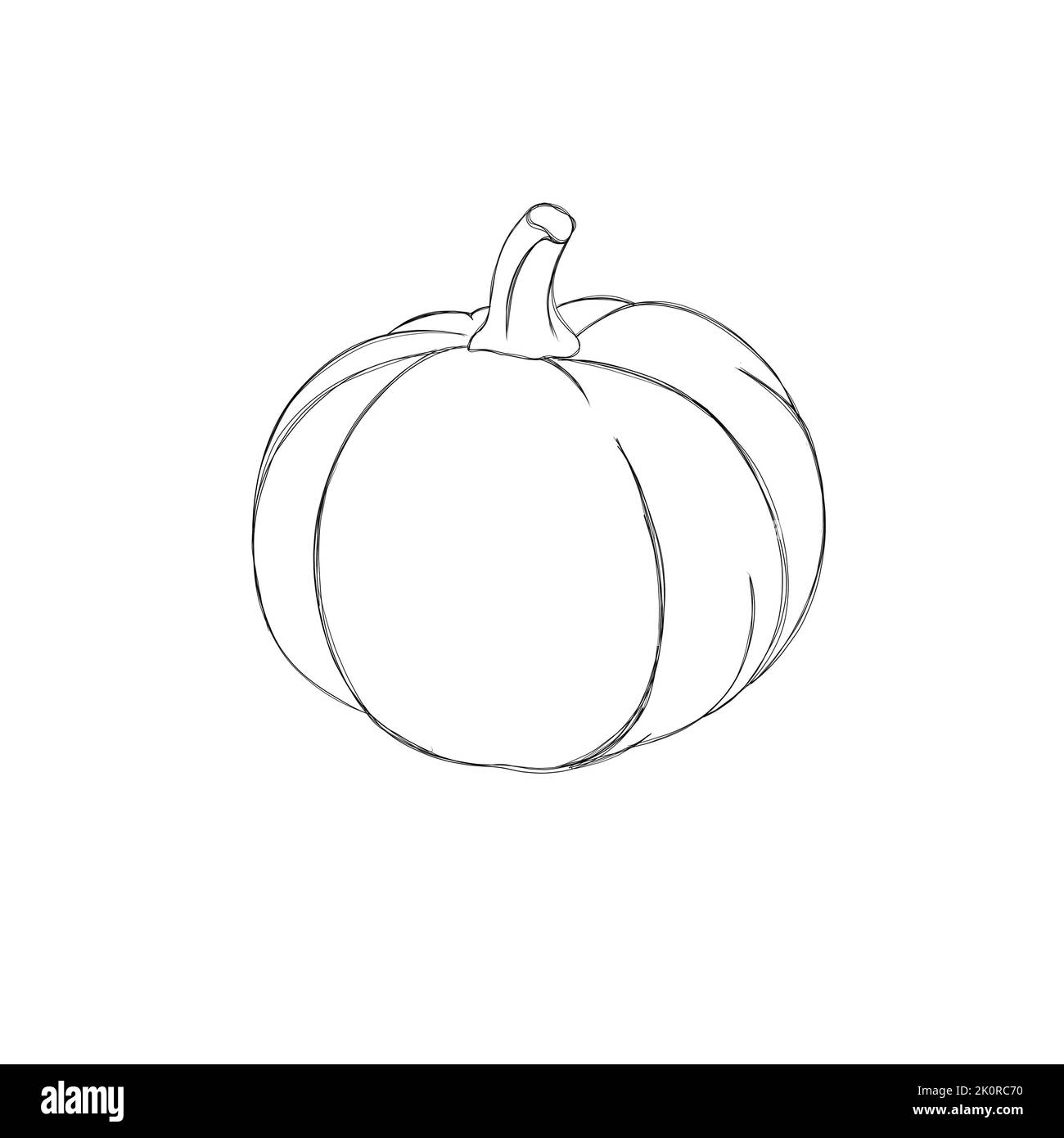 Ink sketch of pumpkin isolated on white background. Hand drawn ...