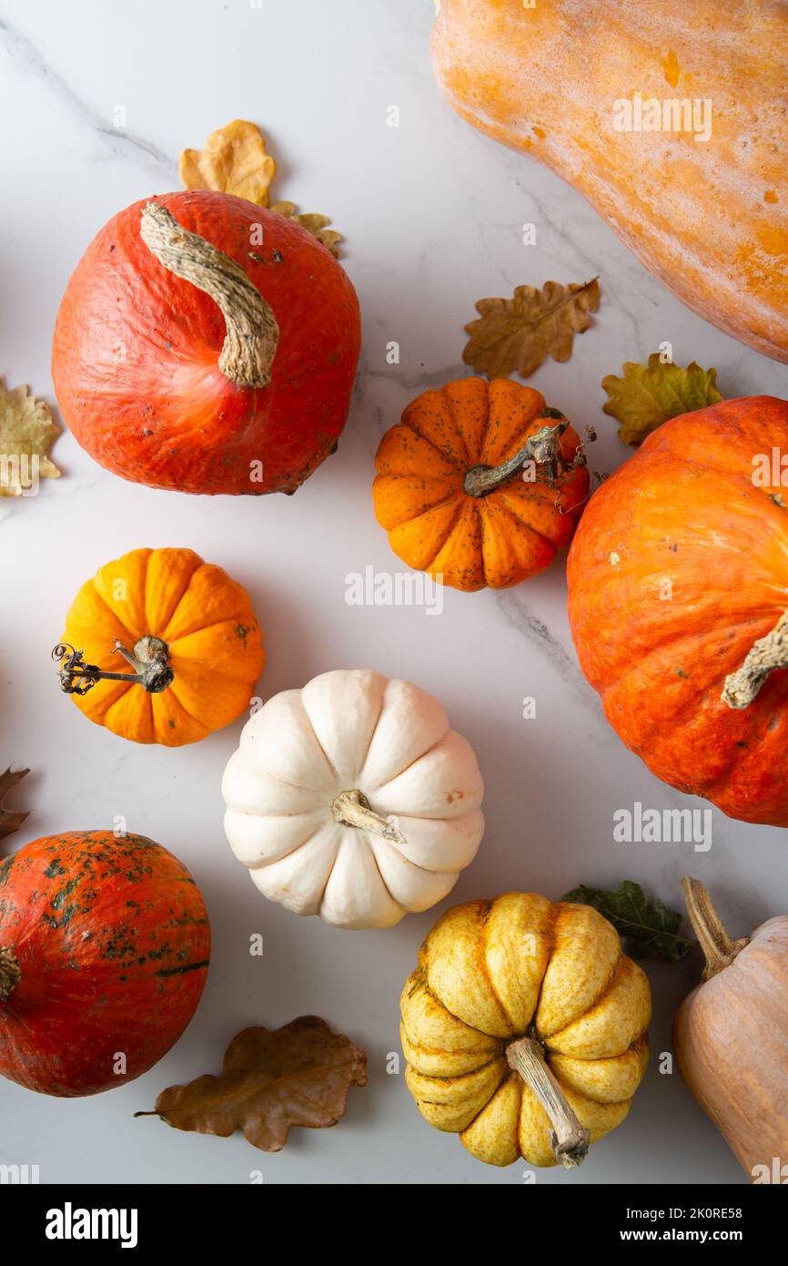 Pumpkin food harvest still life background holiday concept top view Stock Photo