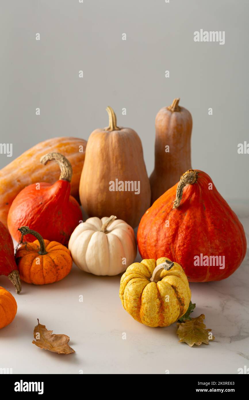 Pumpkin food harvest background holiday concept Stock Photo