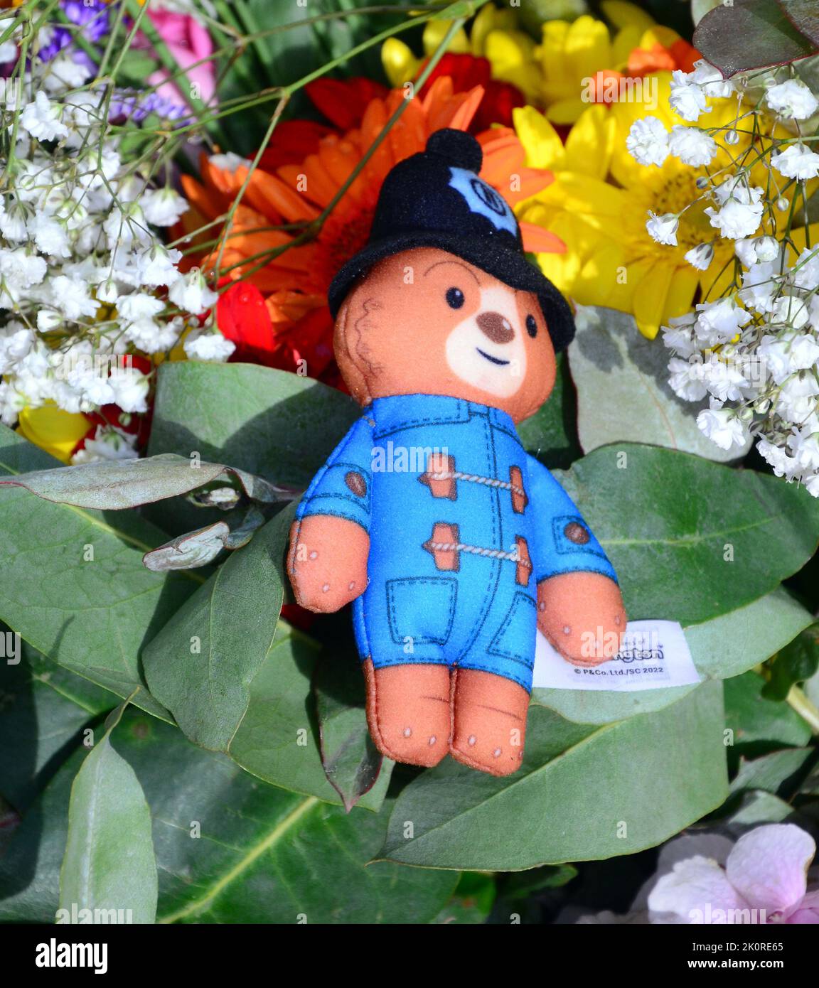 Manchester, UK, 13th September, 2022.  A Paddington Bear tribute left with flowers in St Ann's Square, Manchester, United Kingdom, as a tribute to Her Majesty, Queen Elizabeth II. The Queen died, aged 96, on 8th September, 2022. Manchester City Council has said on its website that the city of Manchester will be observing the official 10-day mourning period and that: 'Residents may wish to lay flowers to mark Her Majesty’s death. You can lay flowers at St Ann's Square'. Credit: Terry Waller/Alamy Live News Stock Photo
