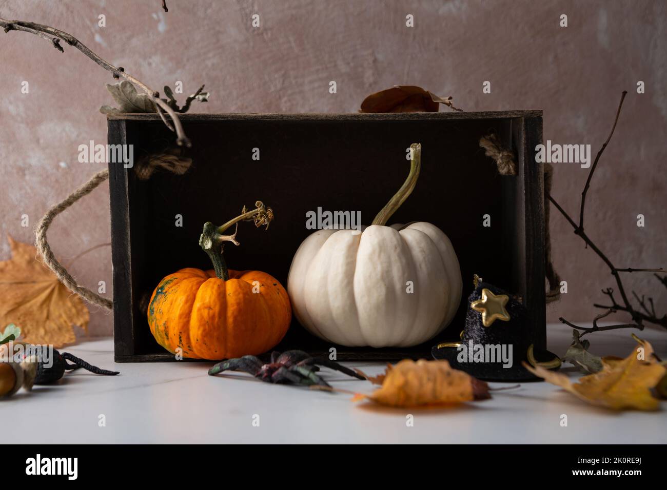 Autumn pumpkin still life in box harvest Stock Photo