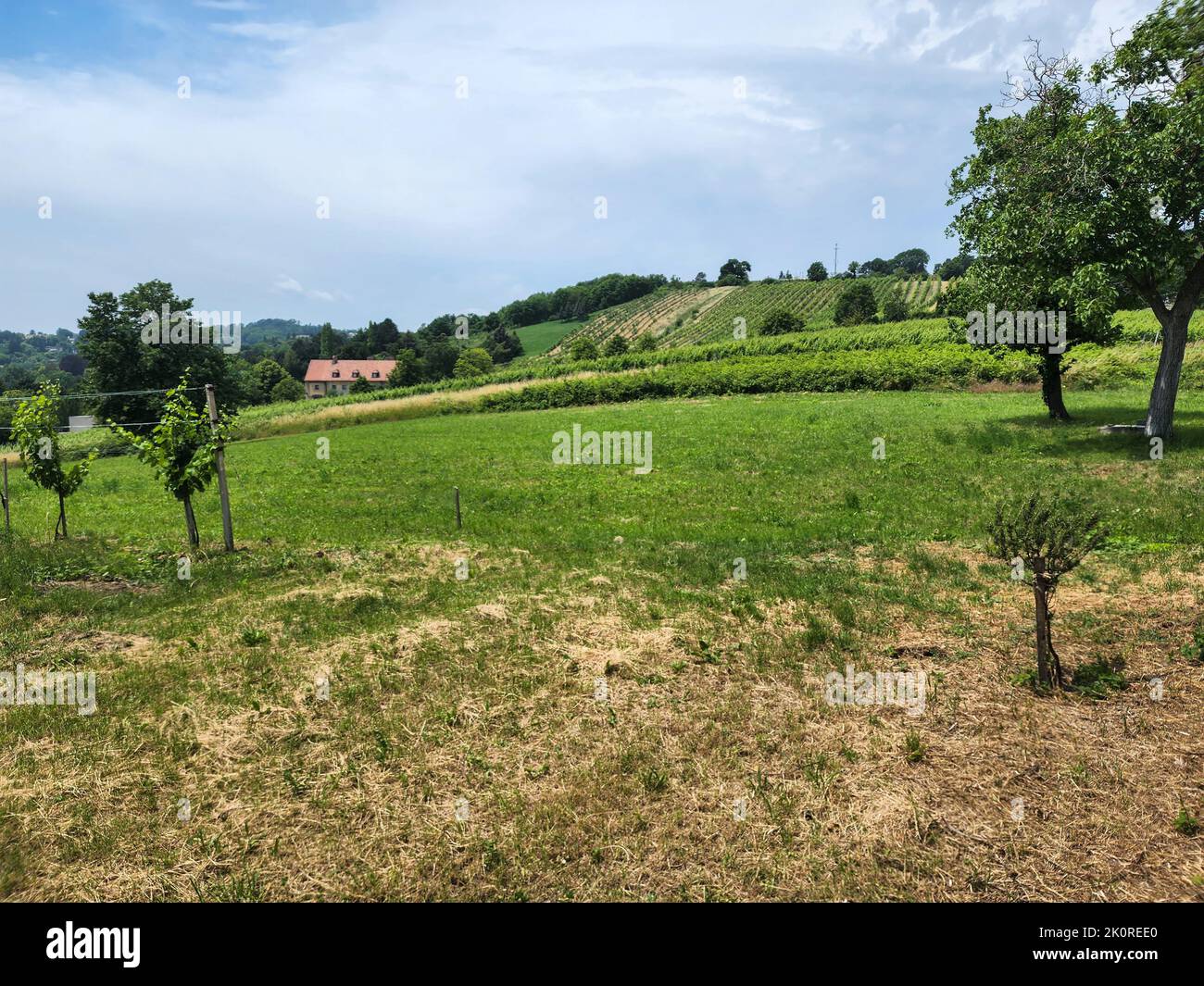 A house in the background of a beautiful rural area with trees and ...
