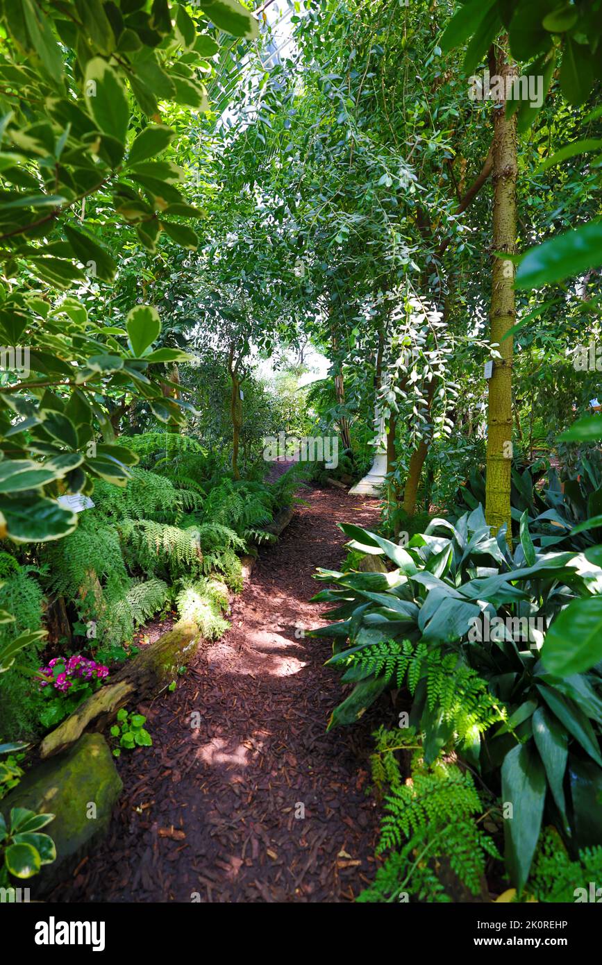 Shot alley in garden hi-res stock photography and images - Alamy