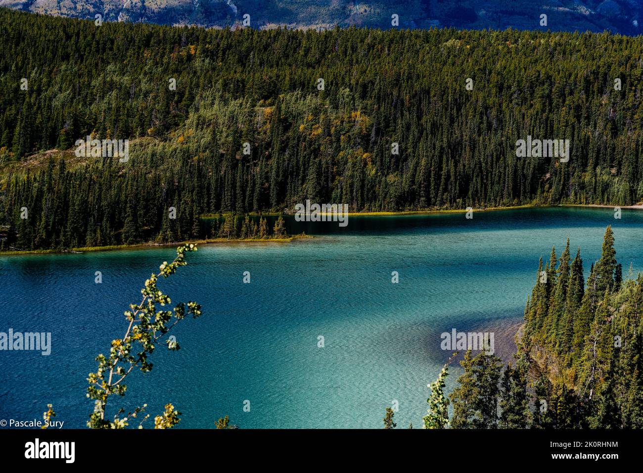 Yukon Canada Stock Photo Alamy