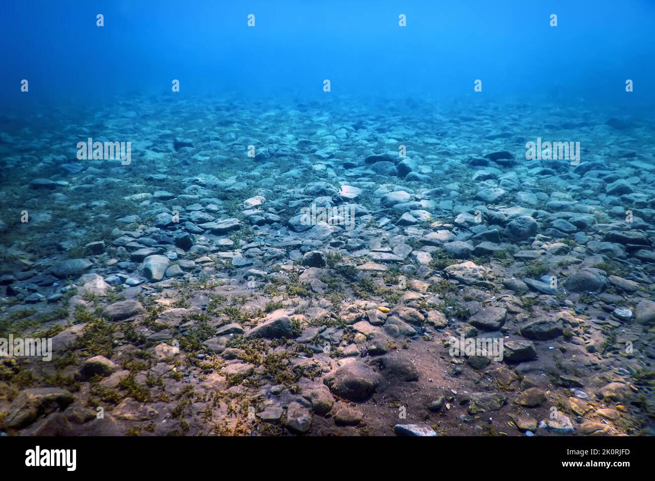 Sea Surface Rocks Rocks and Pebbles, pebbles below water surface Stock Photo - Alamy