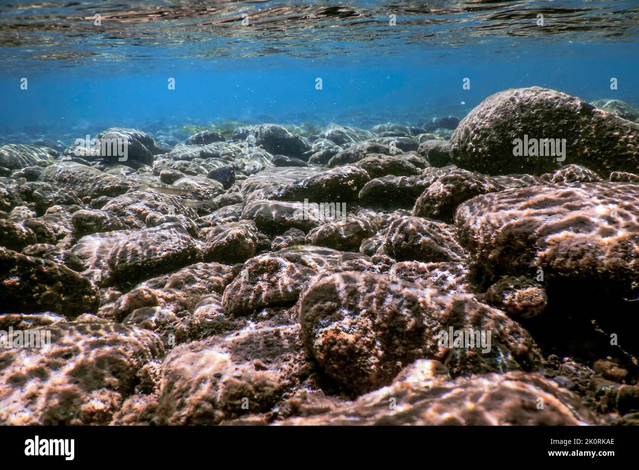 Sea Surface Rocks Rocks and Pebbles, pebbles below water surface Stock Photo - Alamy