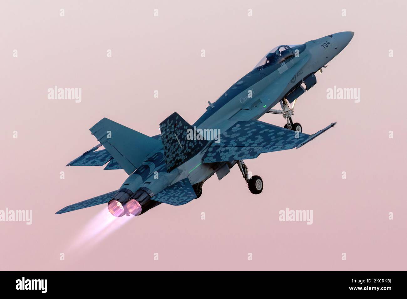 A Royal Canadian Air Force (RCAF) CF-18 Hornet during a demonstration