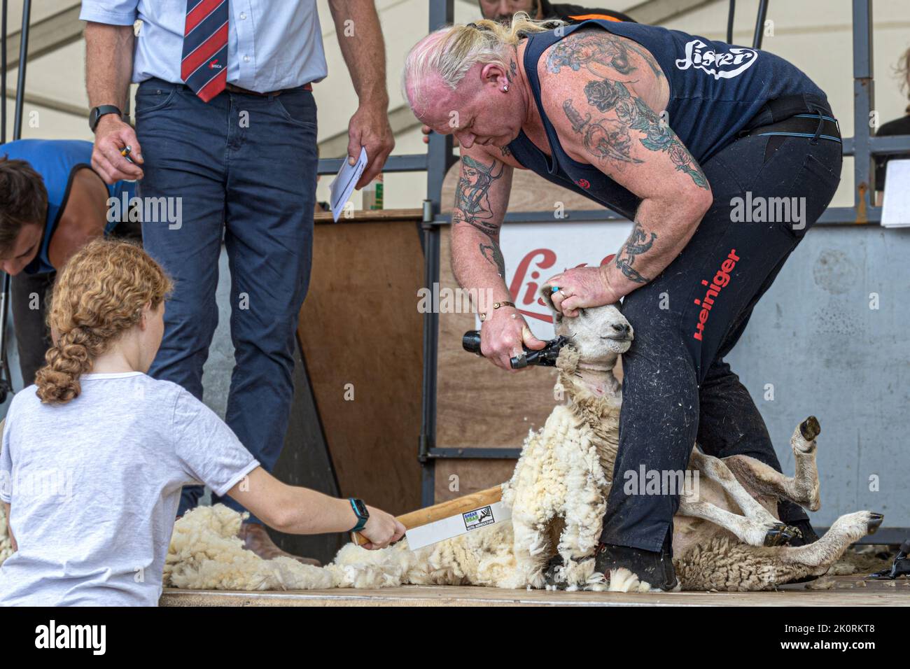 Mechanical (handpiece) Sheep shearing competition, Dorset County Show 2022, Dorset, UK Stock Photo