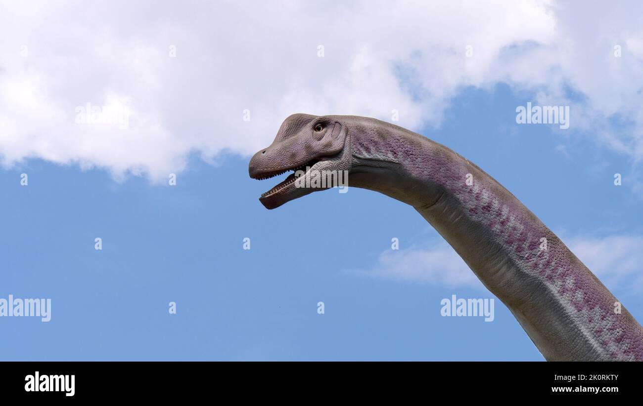 Gigantic herbivorous dinosaur - Brachiosaurus. Dino in the nature. Dinosaur head. Stock Photo