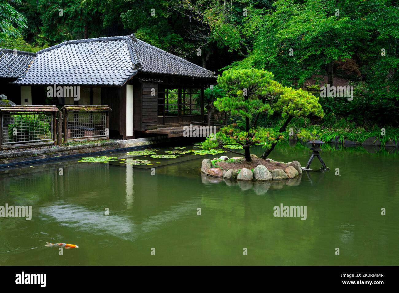 The Japanese garden in Kaiserslautern/Germany Stock Photo - Alamy