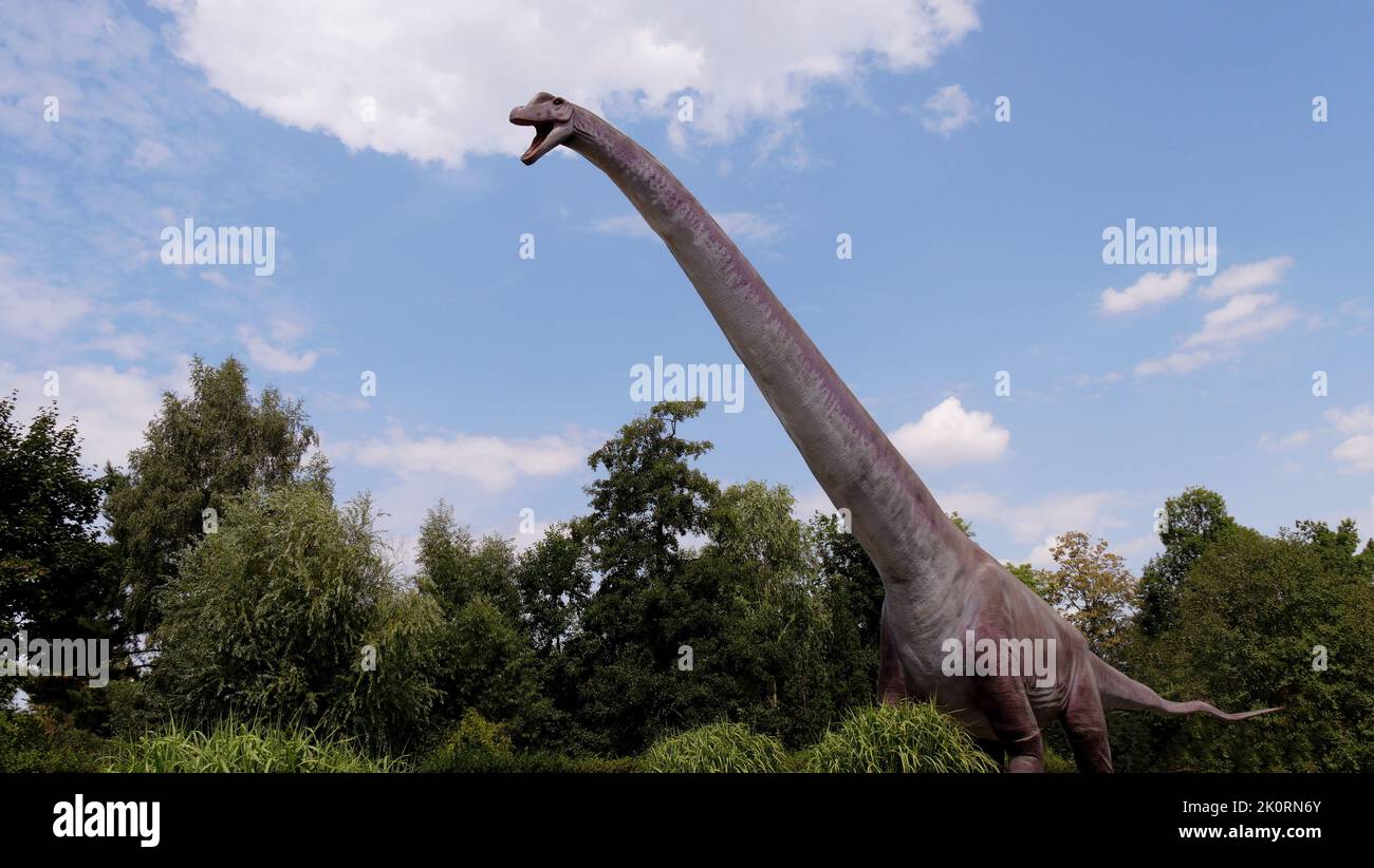 Dino comparison hi-res stock photography and images - Alamy Dino comparison hi-res stock photography and images - Alamy