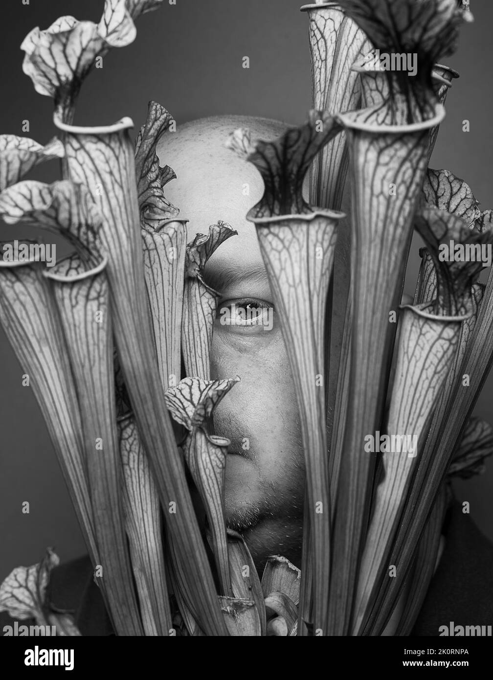 Portrait of the owner at West Cornwall Carnivores. Cornwall's specialist Carnivorous plant grower. Stock Photo