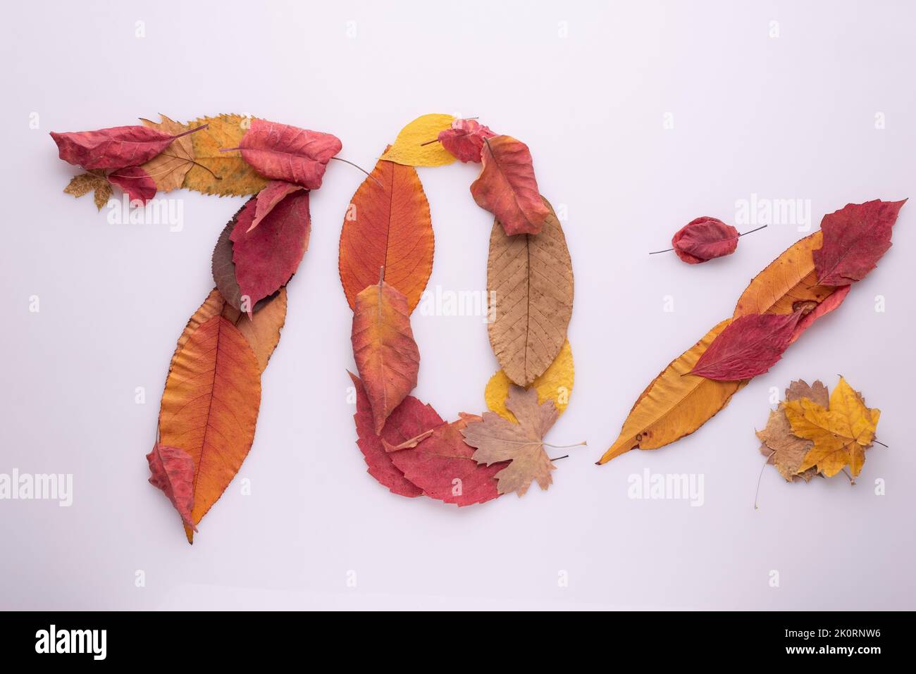 seventy percent from autumn leaves on white background. Stock Photo