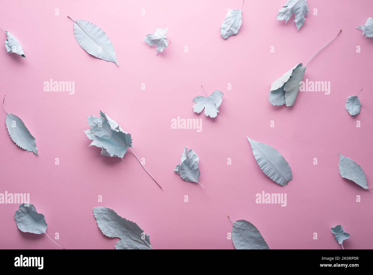 autumn pastel background blue leaves in paint on a pink background. Stock Photo