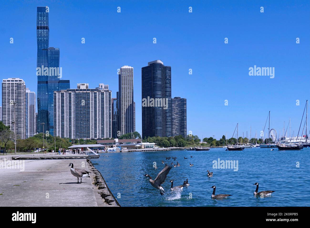 Chicago Lakefront Trail and waterfront - Chicago Lakefront Trail And Waterfront Apartment Buildings Near Randolph Street 2K0RPB5 