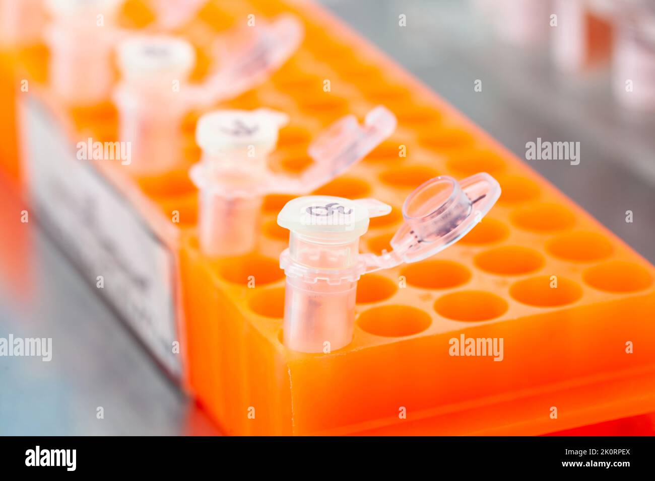 Rack of test tubes being used for DNA extraction using the spin column