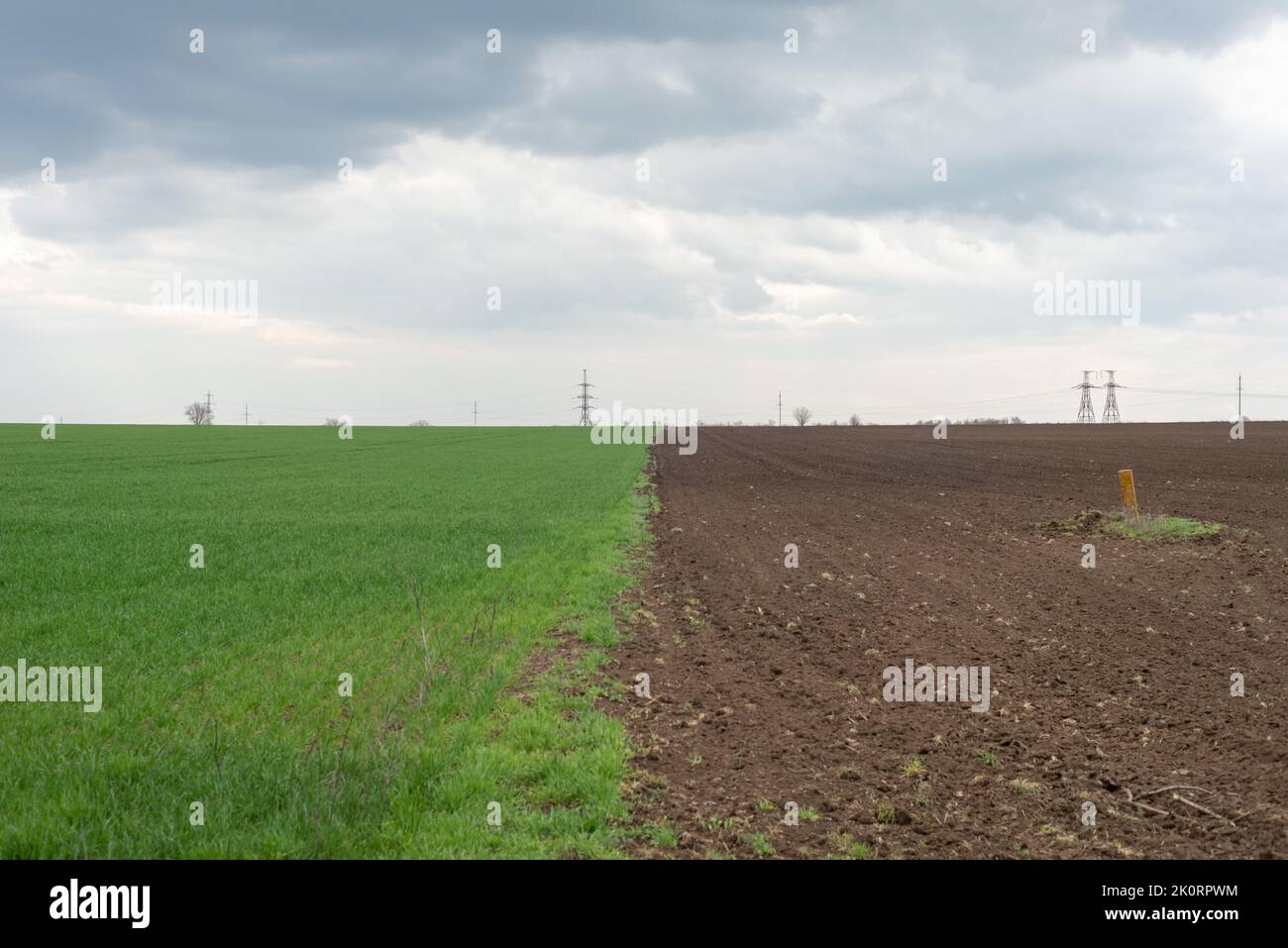 Ukrainian landscape of a half-green field of grass against a cloudy sky. Stock Photo