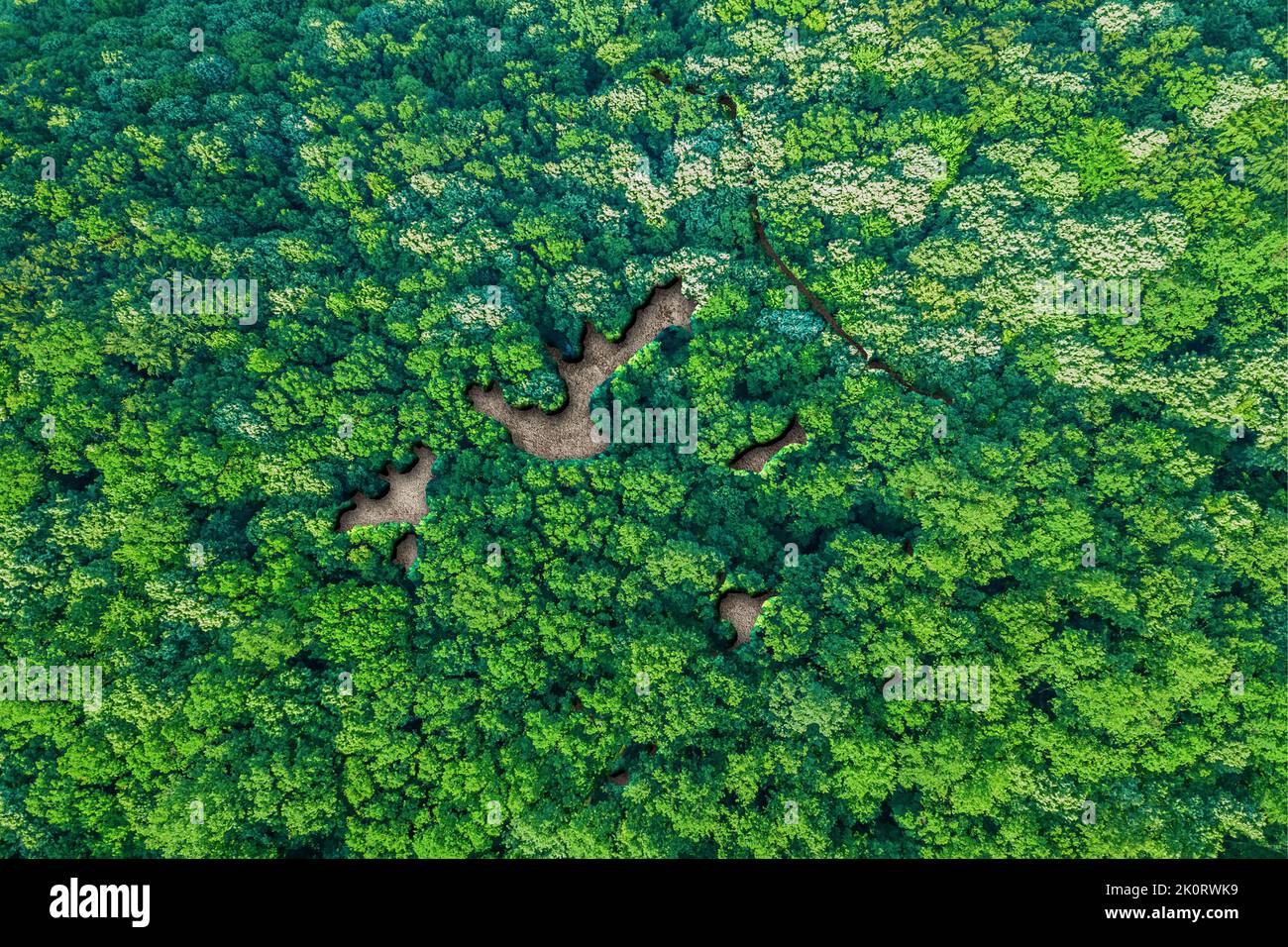 Sustainable habitat Map of French Polynesia, Environment concept Stock Photo