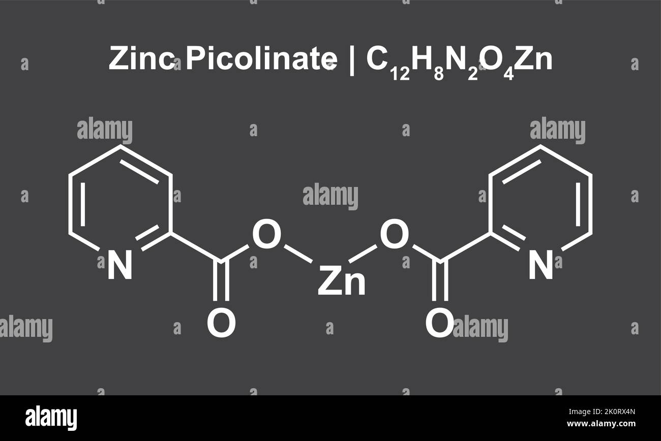 Zinc Picolinate (C12H8N2O4Zn) Chemical Structure. Vector Illustration Stock Vector Image & Art