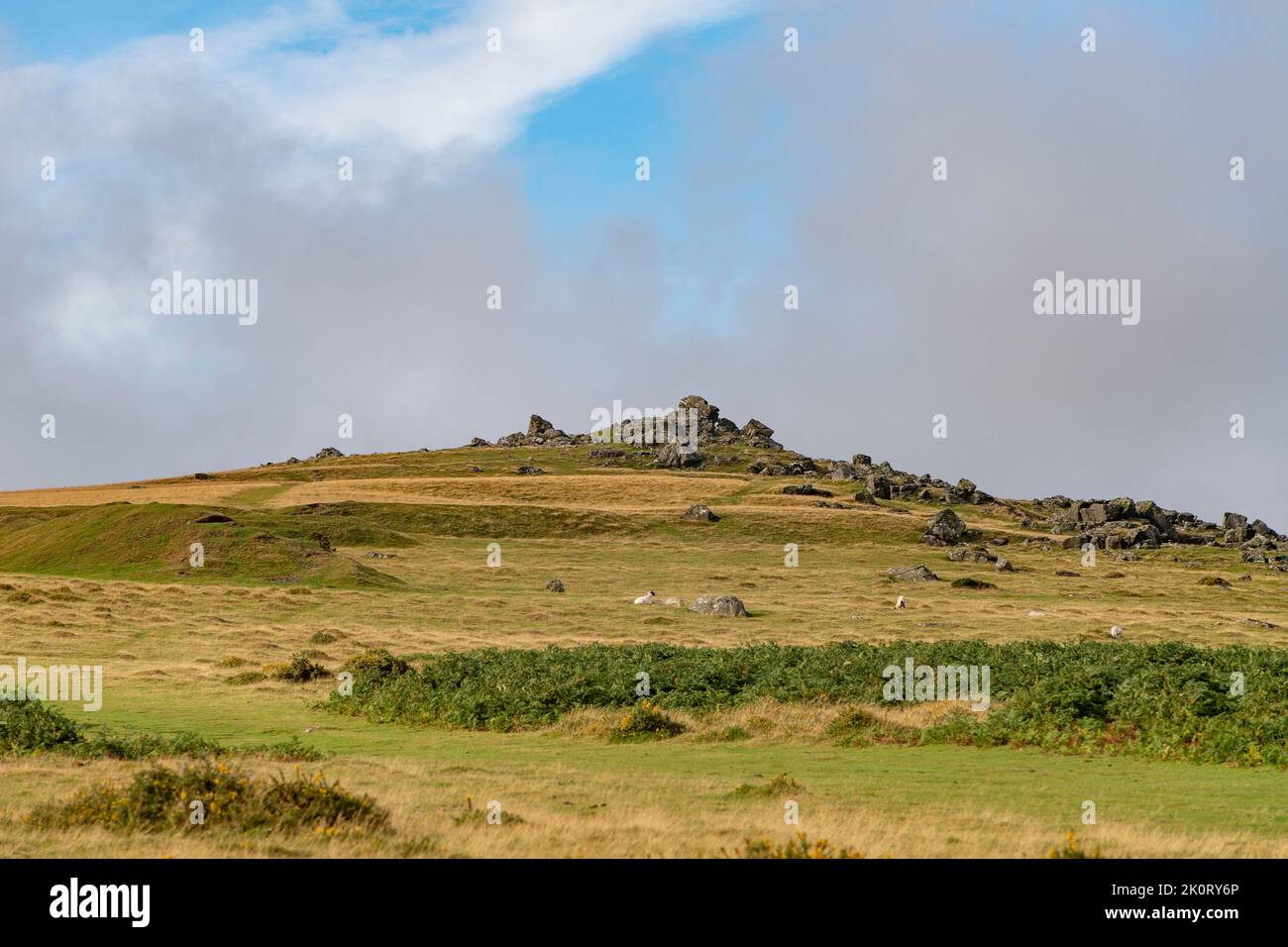 Dartmoor National park Stock Photo