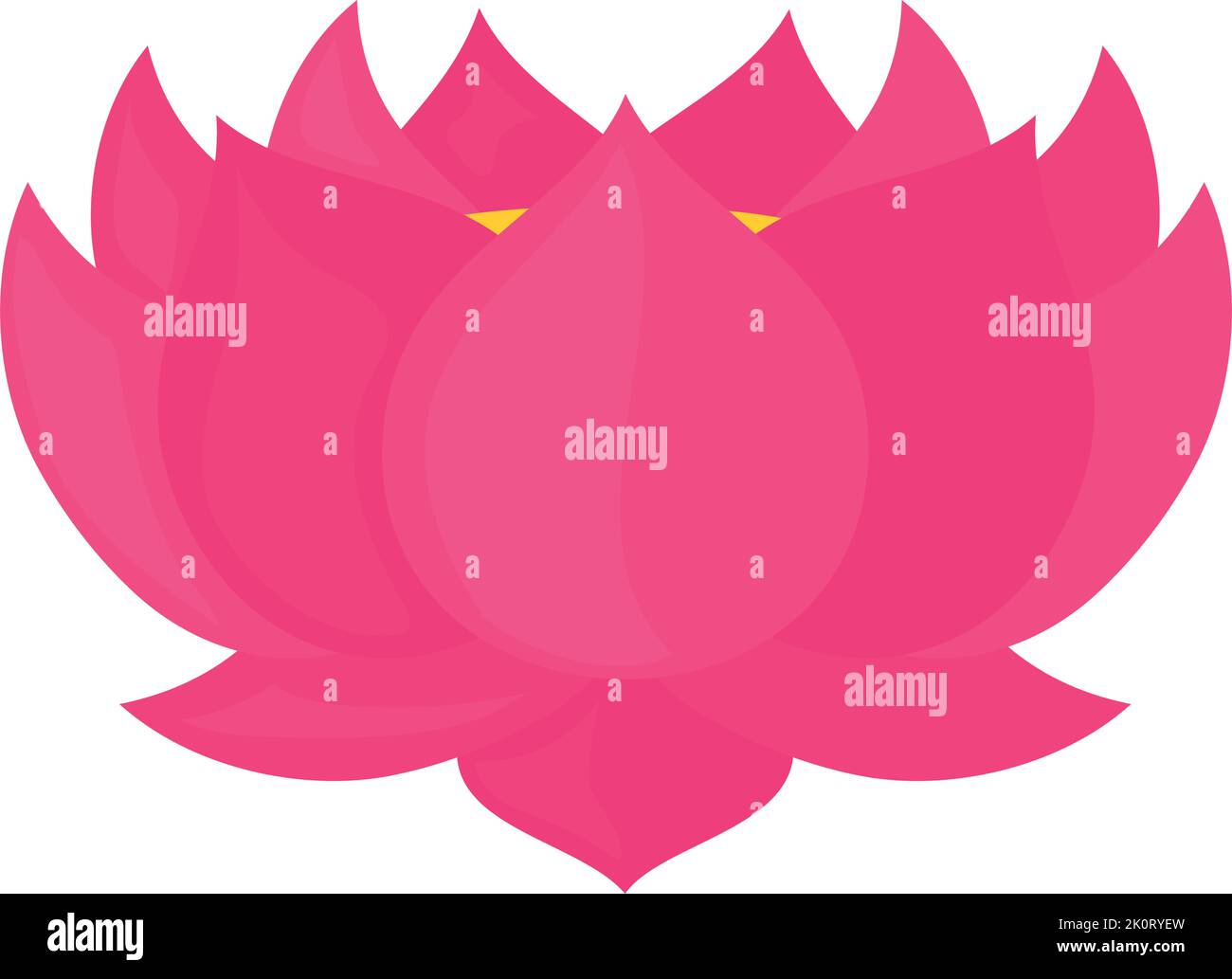 pink lotus flower Stock Vector Image & Art - Alamy