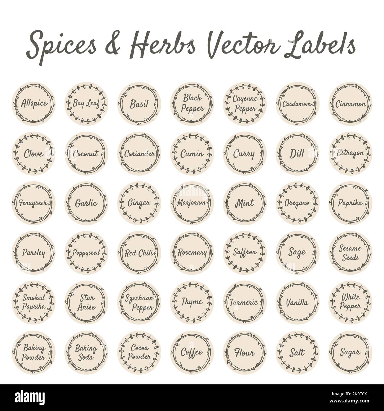Spices and herbs vector label set for kitchen jar. Spice ellipse floral