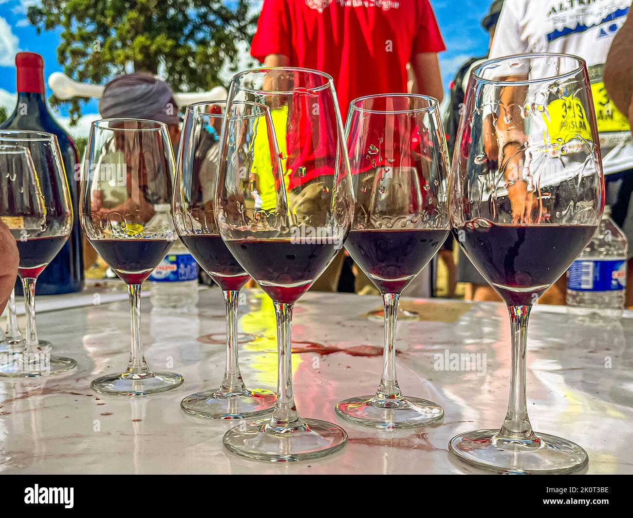 With so many tears, there's not a dry eye in the world. Things are done in style at Chateau Phelan Segur. Here, the participants of the 36th Marathon des Chateaux du Medoc are served red wine in glasses Stock Photo