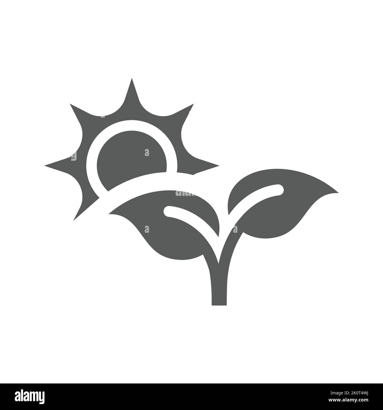 Young plant and sun vector icon. Sprout or seedling with leaves, crop filled symbol. Stock Vector