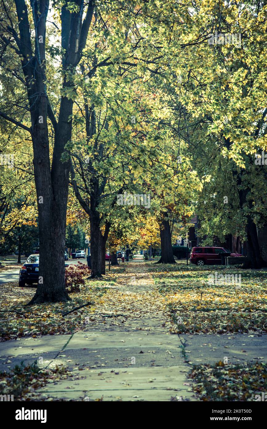 East English Village neighborhood, Detroit, Michigan, USA Stock Photo