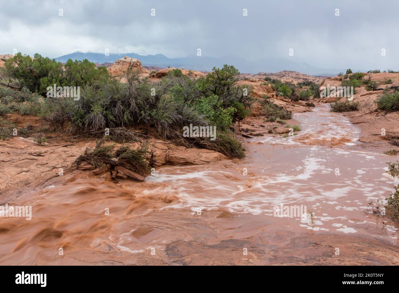 A flash flood in the desert after a heavy rain in Arches National Park