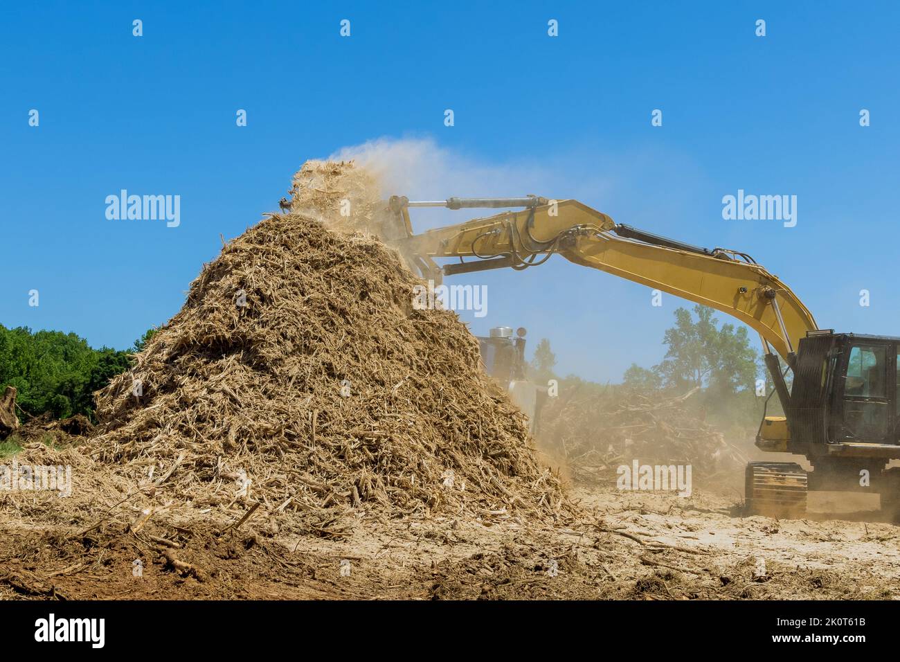 Land that is being prepared for building housing development with industrial shredder machine work the roots shredding to chips Stock Photo
