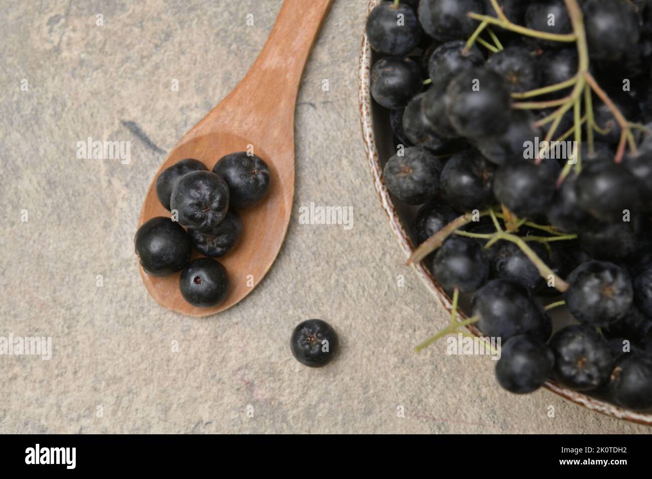 Closeup Black Chokeberry Berries Aronia Melanocarpa Stock Photo