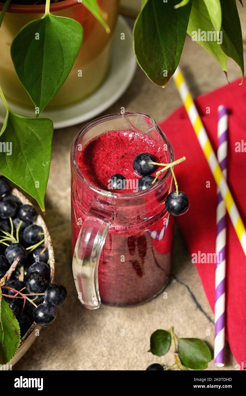 Smoothie Black Chokeberry Berries Aronia Melanocarpa Stock Photo