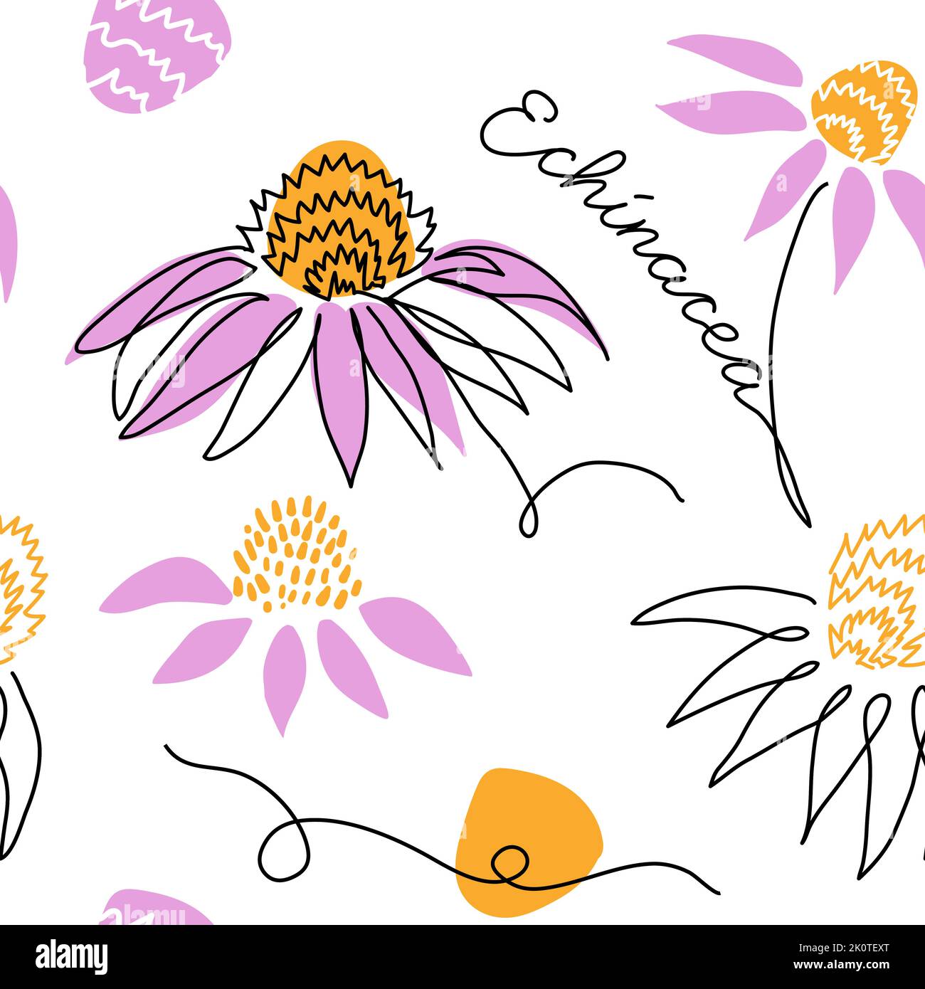 Echinacea purpurea, coneflower seamless vector pattern. One continuous line art drawing pattern with echinacea flower Stock Vector