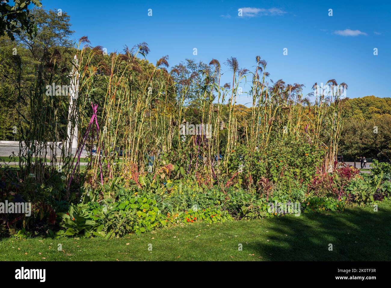 Art on the Farm Urban Agriculture Potager Kitchen garden, Grant Park ...