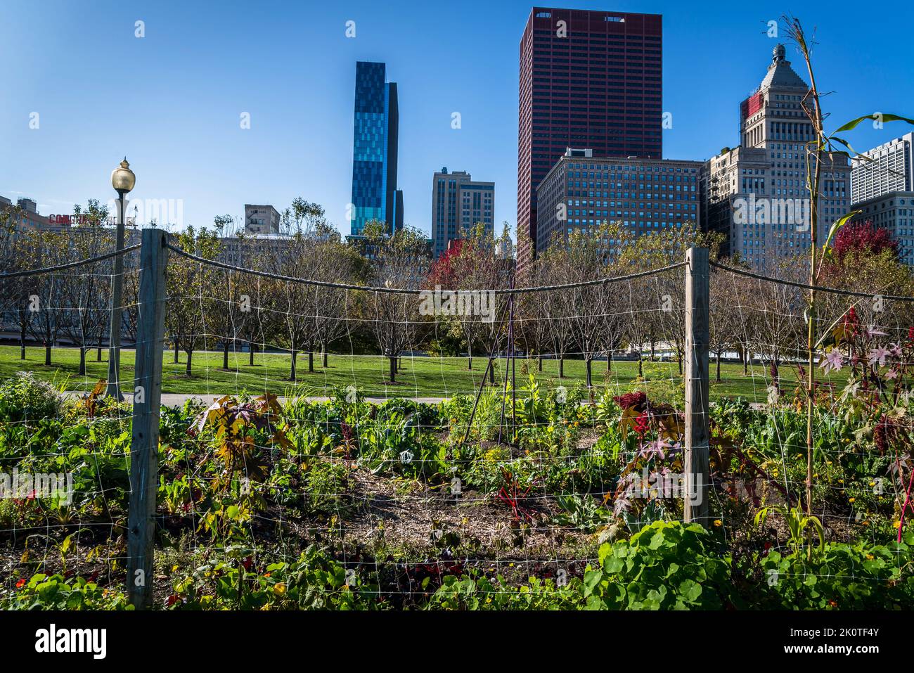 Art on the Farm Urban Agriculture Potager Kitchen garden, Grant Park ...