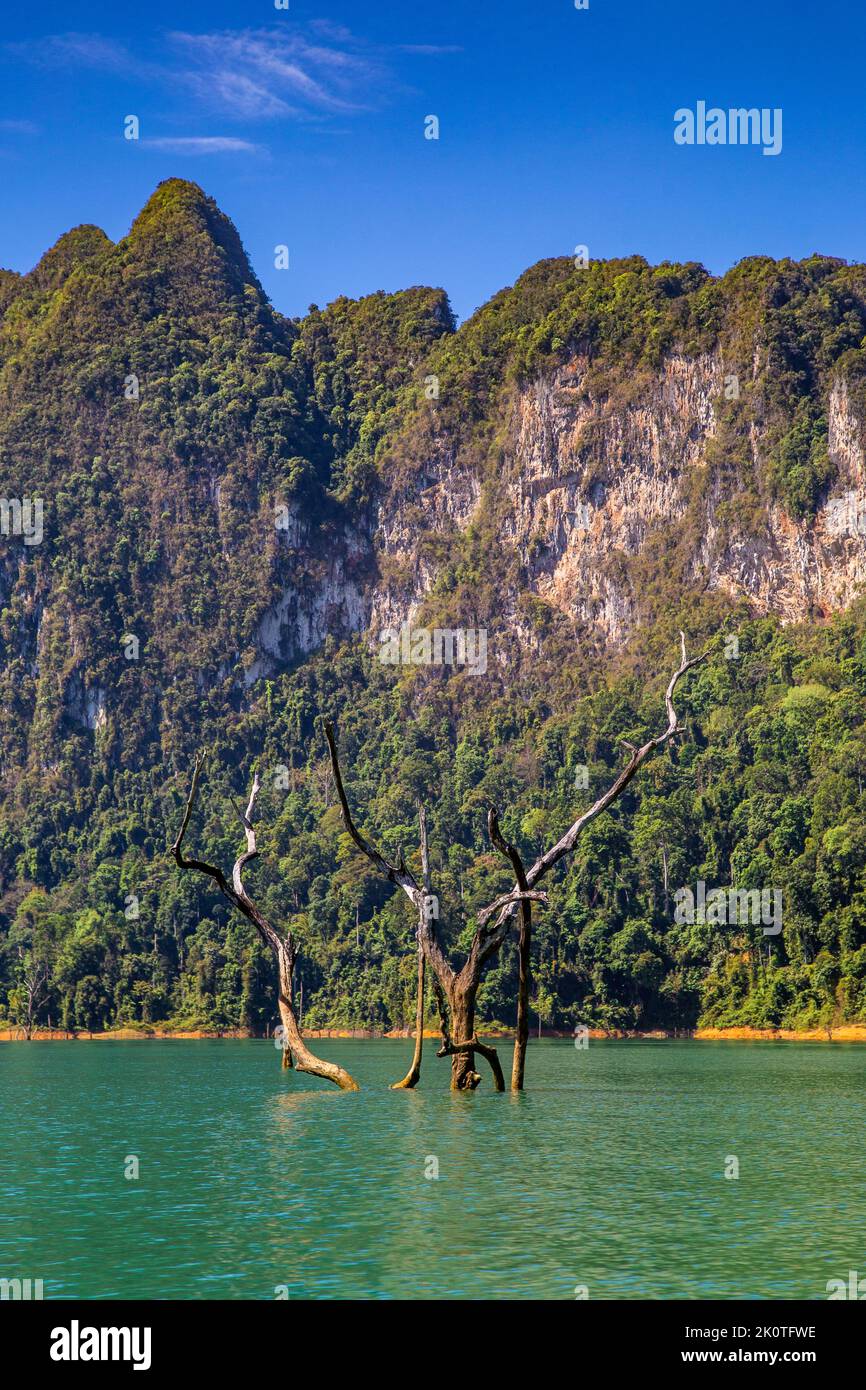 View of Khao Sok national park Cheow Lan Dam lake in Surat Thani, Thailand Stock Photo