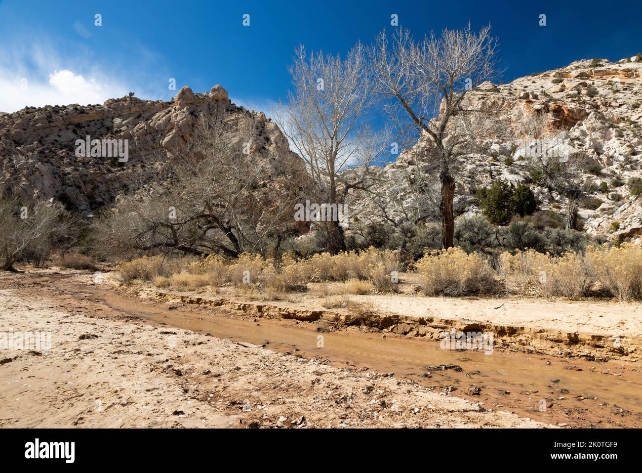 Hackberry Creek flowing out of Hackberry Canyon. Grand StaircaseEscalante National Monument
