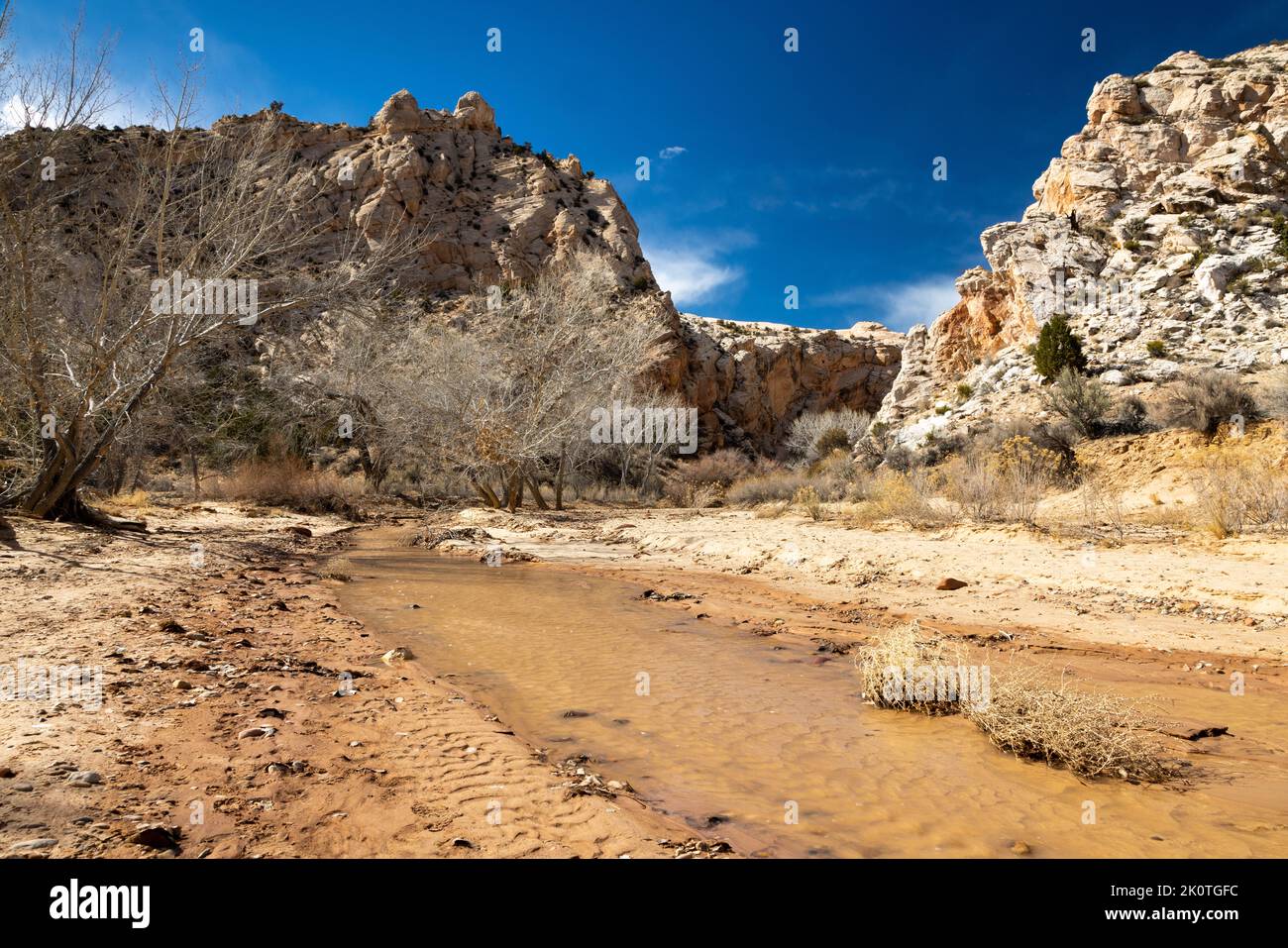 The mouth of Hackberry Canyon rising high above its namesake creek ...