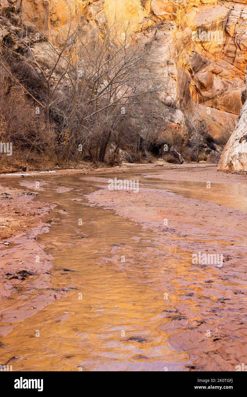 Oak creek canyon utah outdoors utah hi-res stock photography and images ...