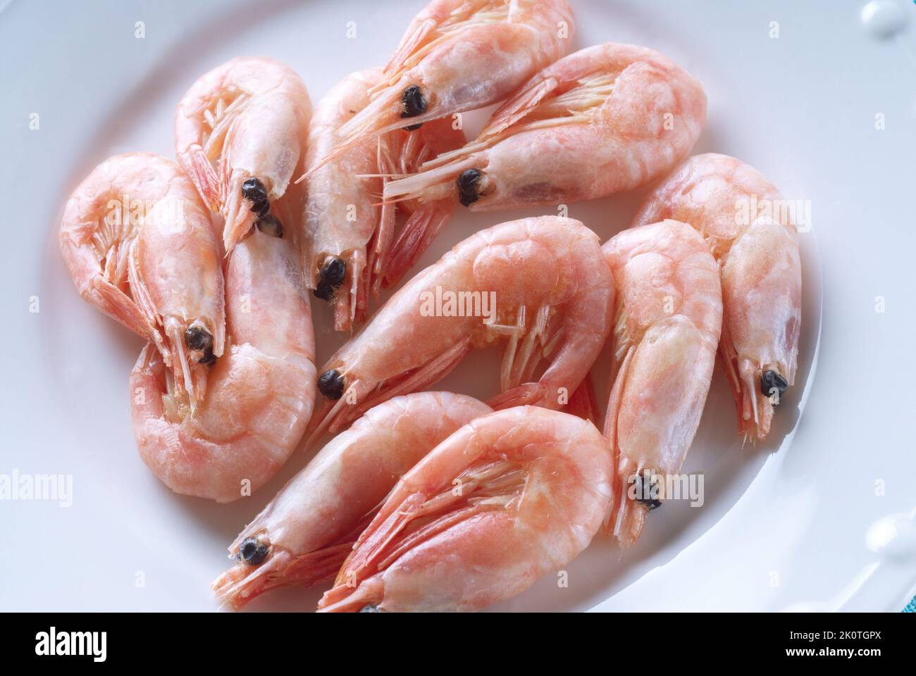 Cooked Shrimps on a plate from above close up Stock Photo